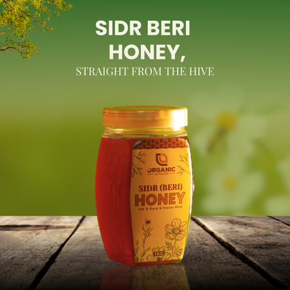 Pure Indulgence: Cholistani Desi Ghee (1KG) & Flavorful Sidr Honey (1KG)